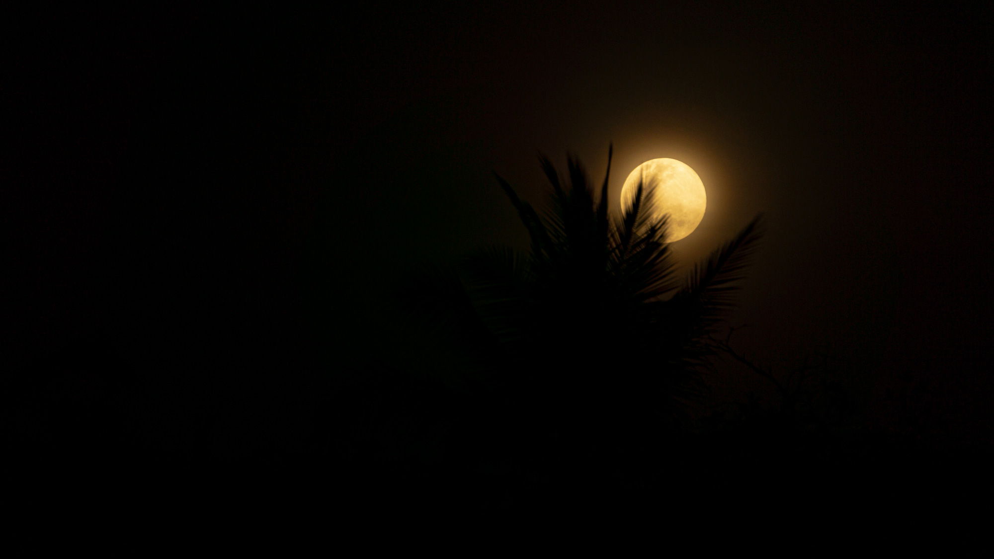 demystifying full moon paddle trip photo by Brock William Munson